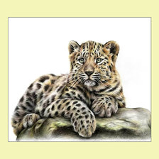Оригинал схемы вышивки «Маленький леопард.» (№2027902)
