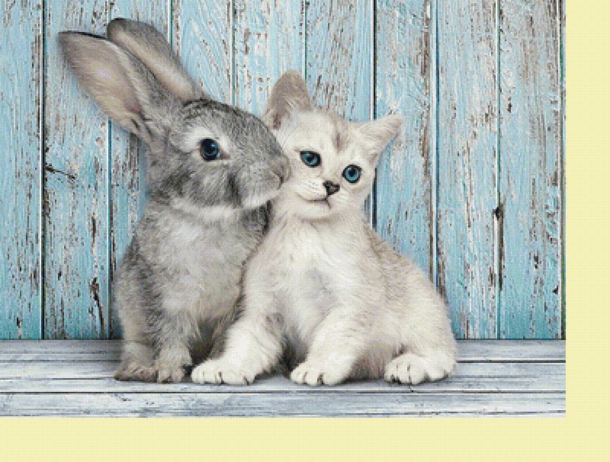 №2027948 - животные, кролики, коты - предпросмотр