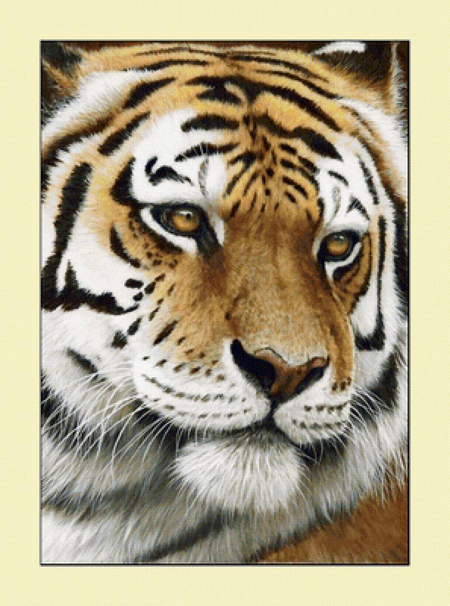 №2027956 - хищники, тигры, тигр, животные - предпросмотр