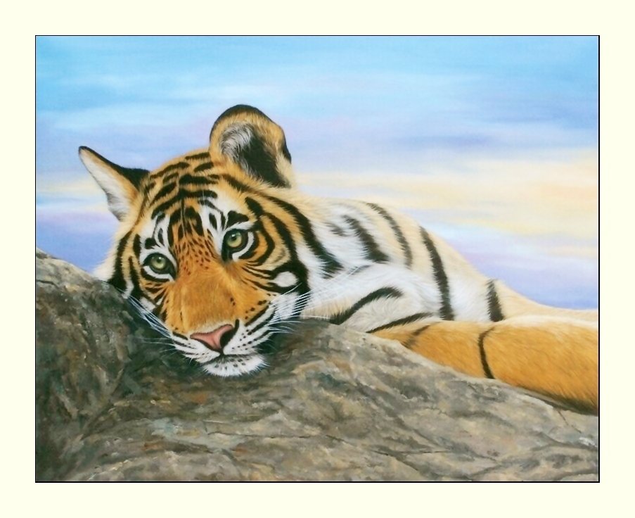 №2027957 - тигры, хищники, тигр, животные - оригинал