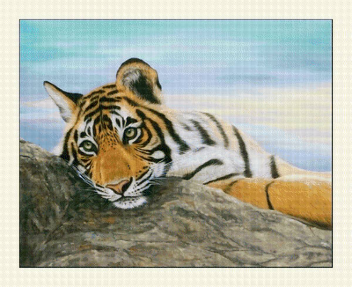 №2027957 - хищники, тигры, животные, тигр - предпросмотр