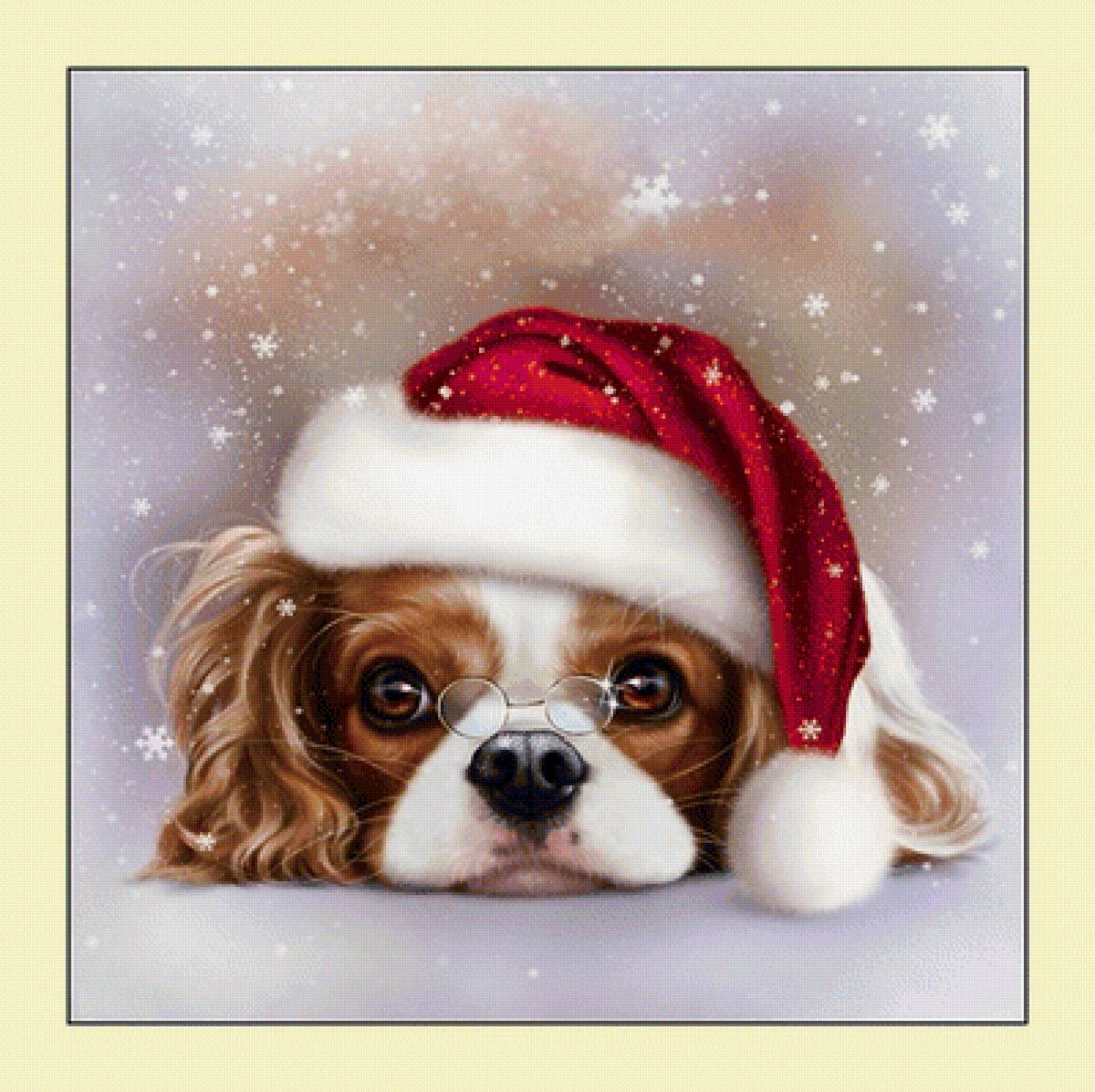 №2027970 - животные, собаки - предпросмотр