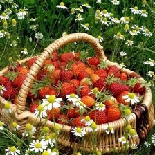 Схема вышивки «№2028023»