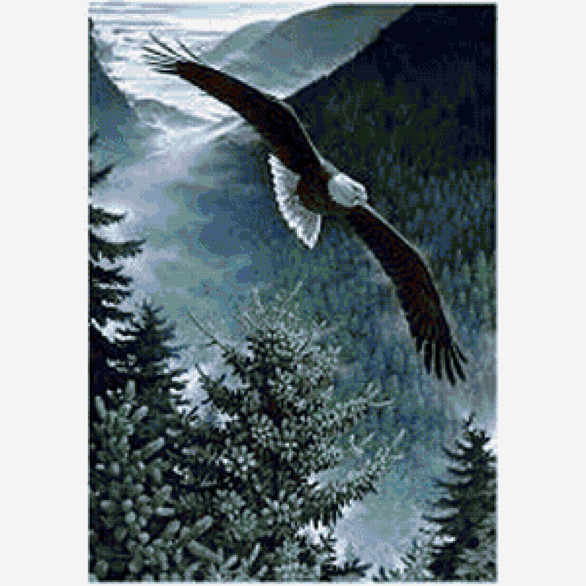 Орел - предпросмотр