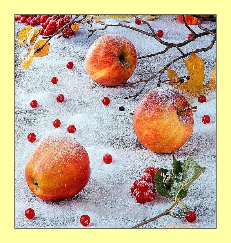 №2028417 - яблоки, натюрморт, фрукты, зима, снег - оригинал
