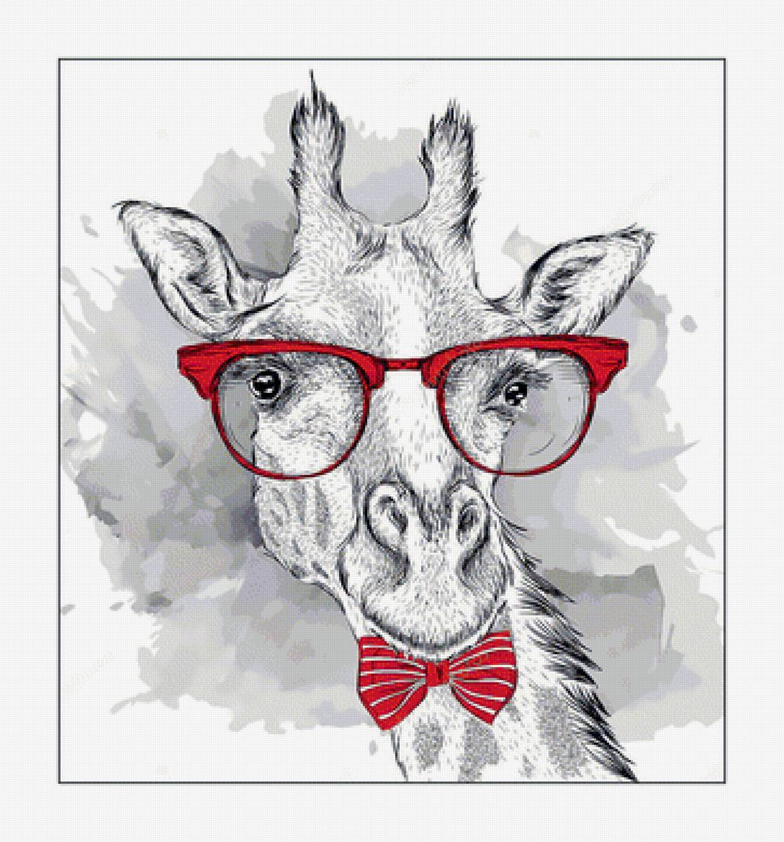 Жираф в очках. - животные, очки, рисунок, жираф - предпросмотр