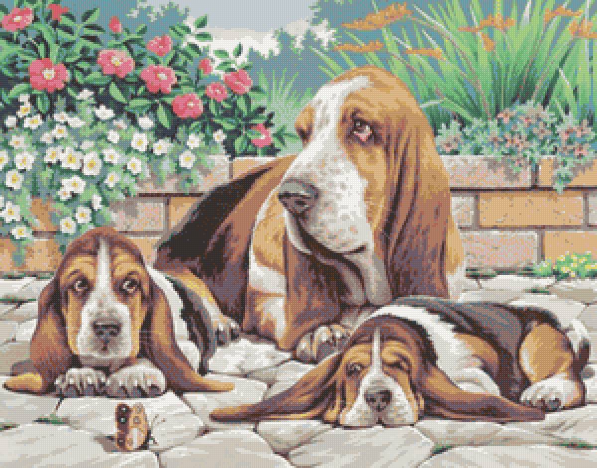 №2028547 - предпросмотр