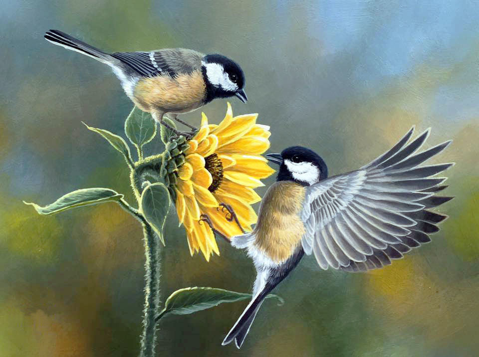 Худ. Абрахам Хантер - подсолнух, птички - оригинал