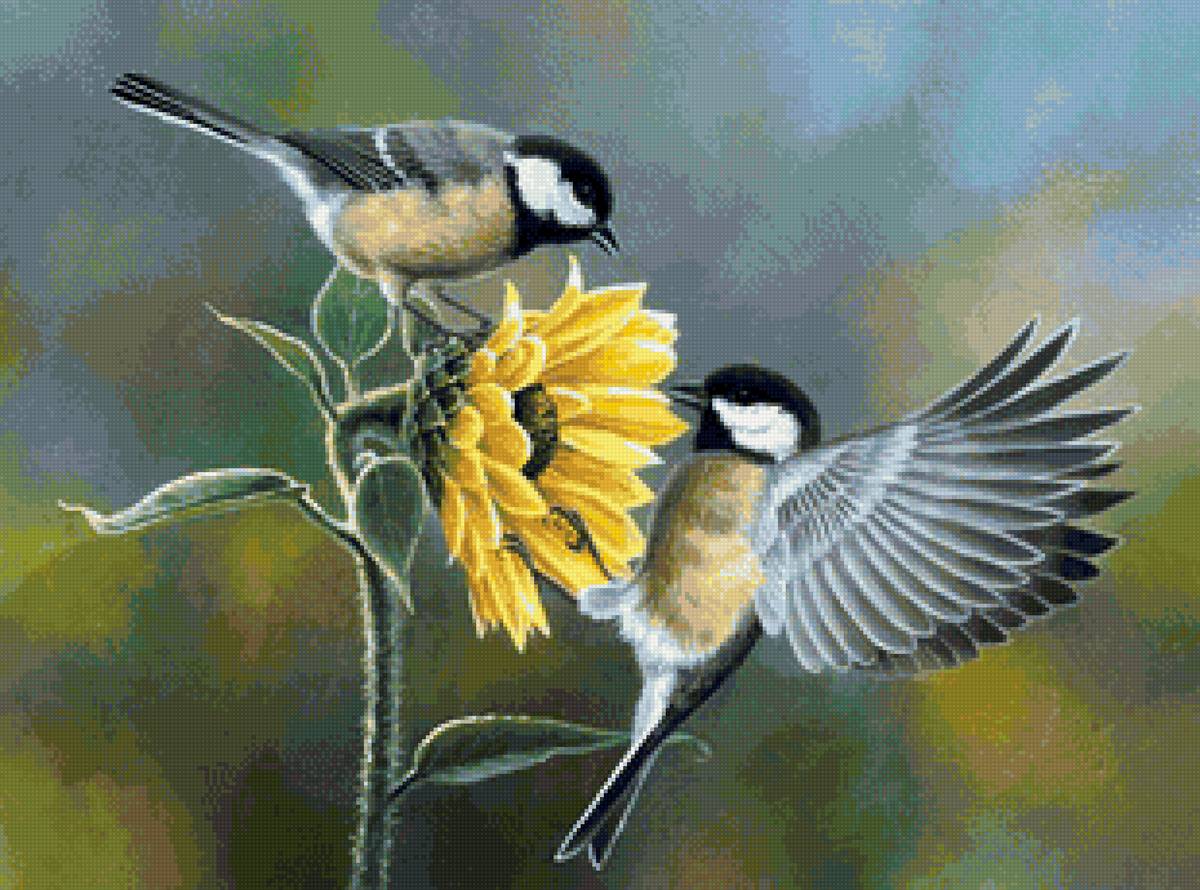 Худ. Абрахам Хантер - птички, подсолнух - предпросмотр