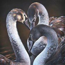 Схема вышивки «лебеди»