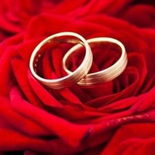 Схема вышивки «Два кольца»