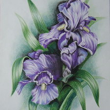 Схема вышивки «цветы»