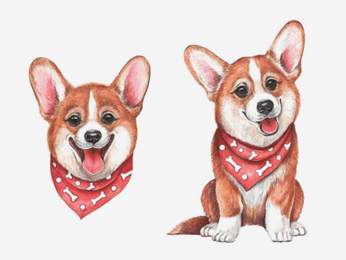 №2029120 - предпросмотр