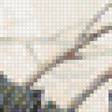 Предпросмотр схемы вышивки «Дятел» (№2029195)