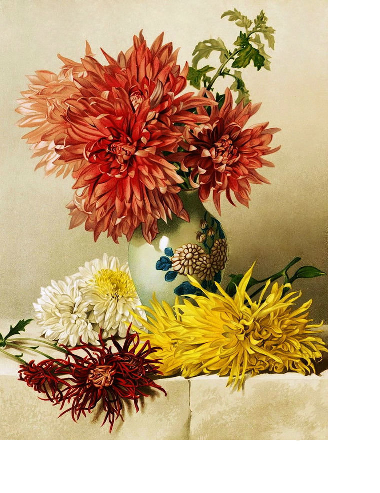 Цветы в вазе - цветы, хризантемы, букет - оригинал