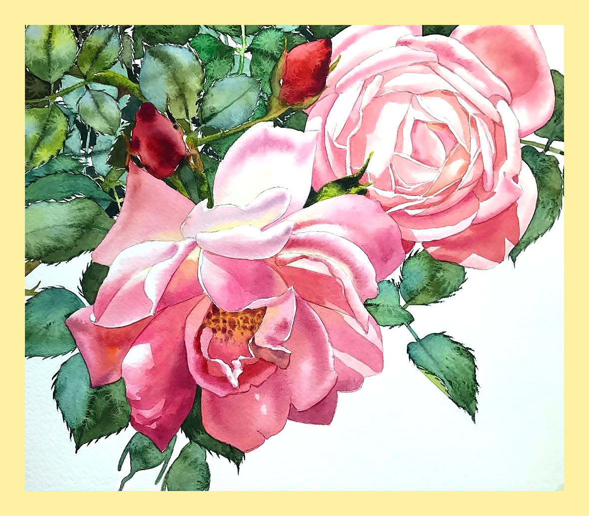 Серия "Розы". Акварель - розы, цветы, флора - оригинал
