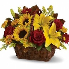 Схема вышивки «1»