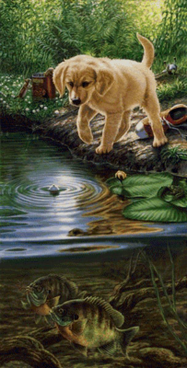 Рыбалка - детское рыбалка животные - предпросмотр