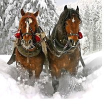 Схема вышивки «№2030238»