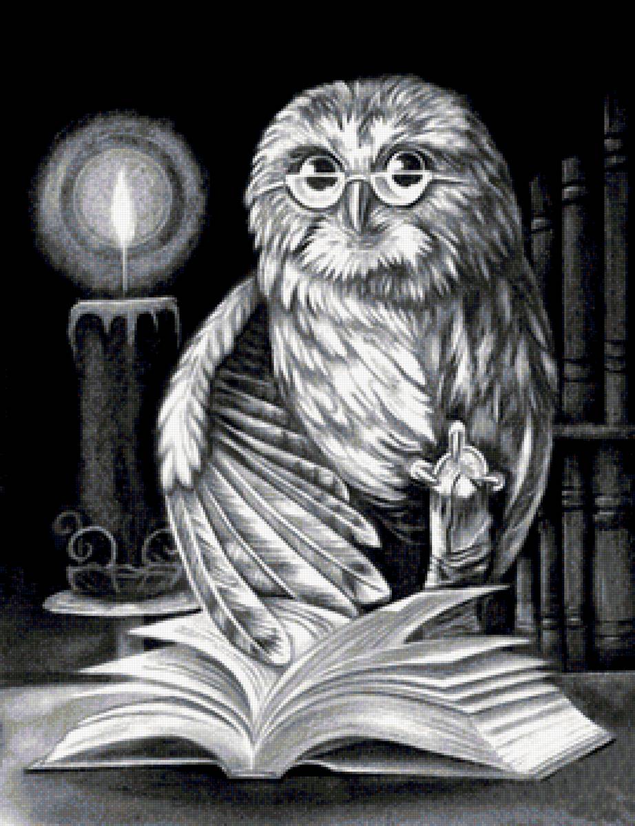 учёная сова - сова, птица, ночь, книги - предпросмотр