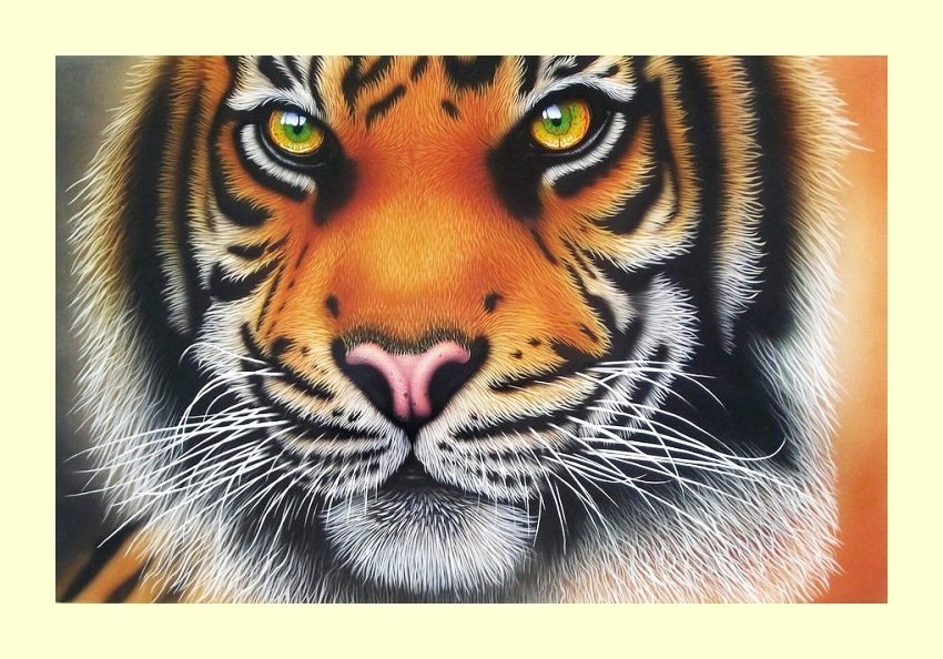 №2030348 - тигр, тигры, хищники, животные - оригинал