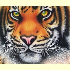 Схема вышивки «№2030348»