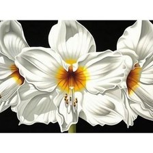 Схема вышивки «№2030356»