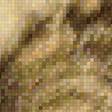Предпросмотр схемы вышивки «дикие» (№2030422)