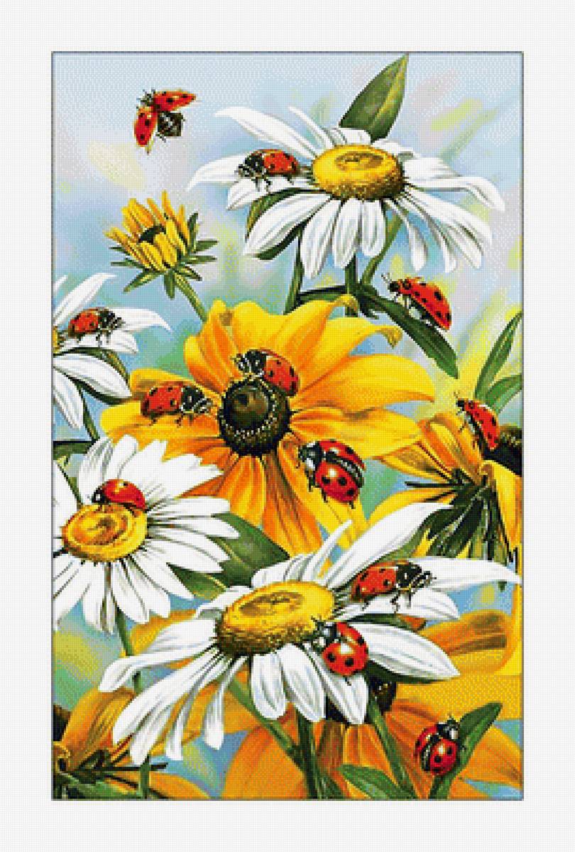Ромашки и божьи коровки. - цветы, божьи коровки, ромашки - предпросмотр