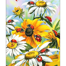 Схема вышивки «Ромашки и божьи коровки.»