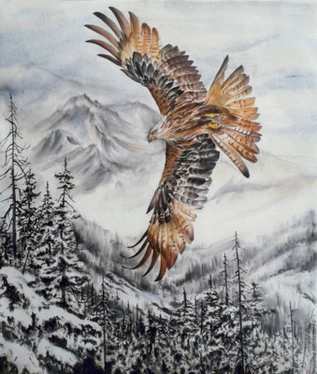 Полет орла - орел, птицы - предпросмотр