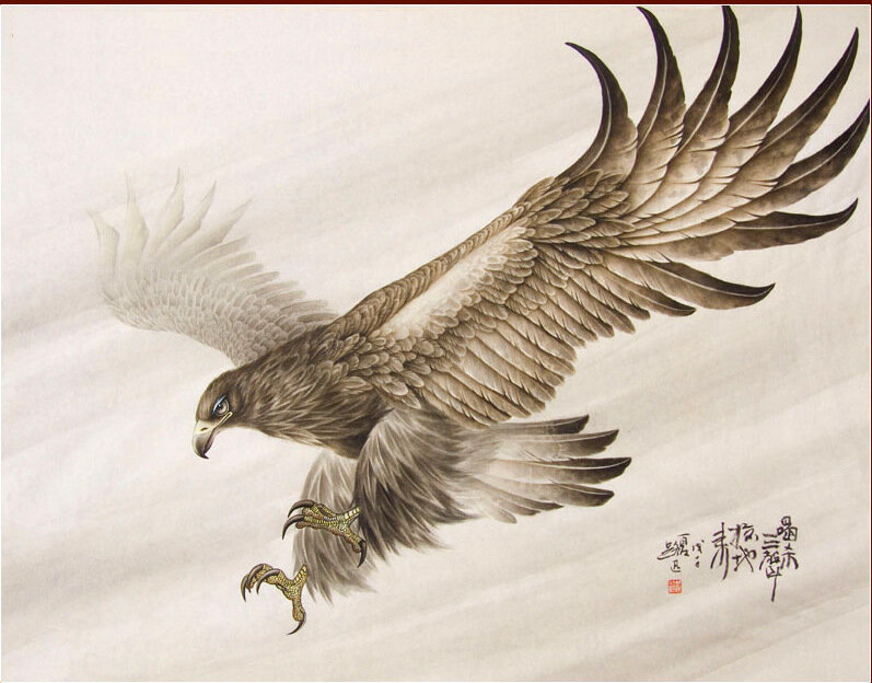 Орел - птицы, орел - оригинал