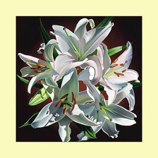 Белые лилии.