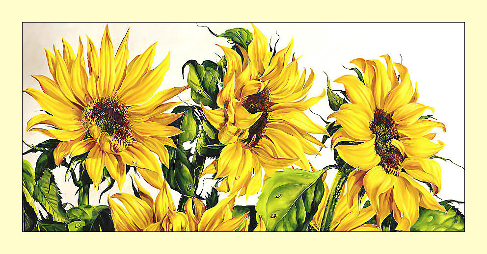 Подсолнухи. - подсолнухи, живопись, цветы - оригинал