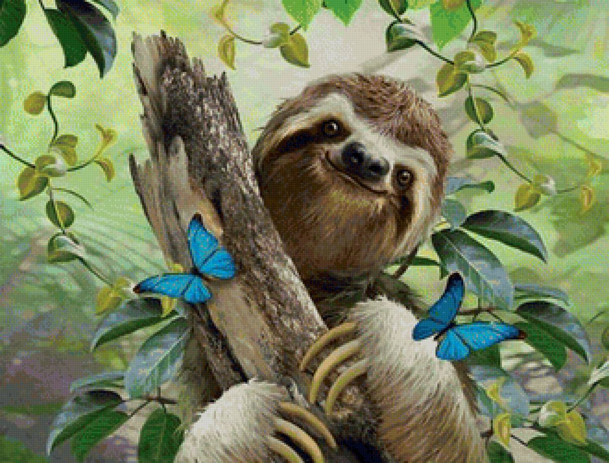 дикие - предпросмотр