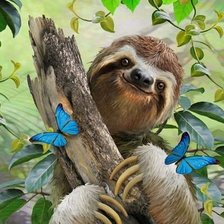 Схема вышивки «дикие»