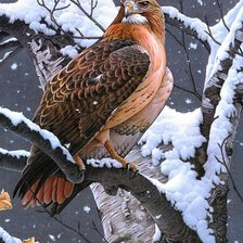 Схема вышивки «№2031519»