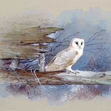 Схема вышивки «№2031580»