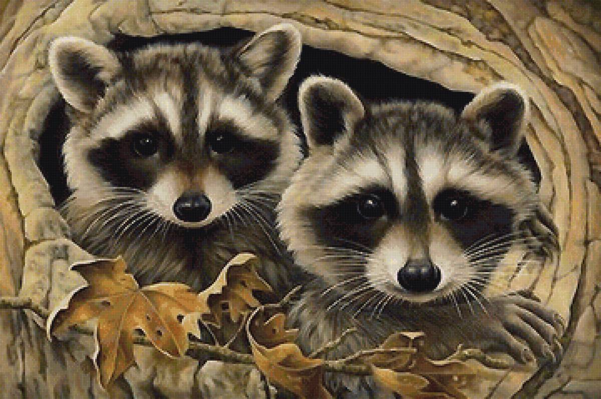 енотики - листья, еноты - предпросмотр