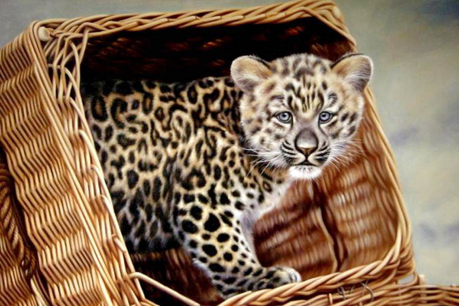 Первая встреча - хищник, кошка - оригинал