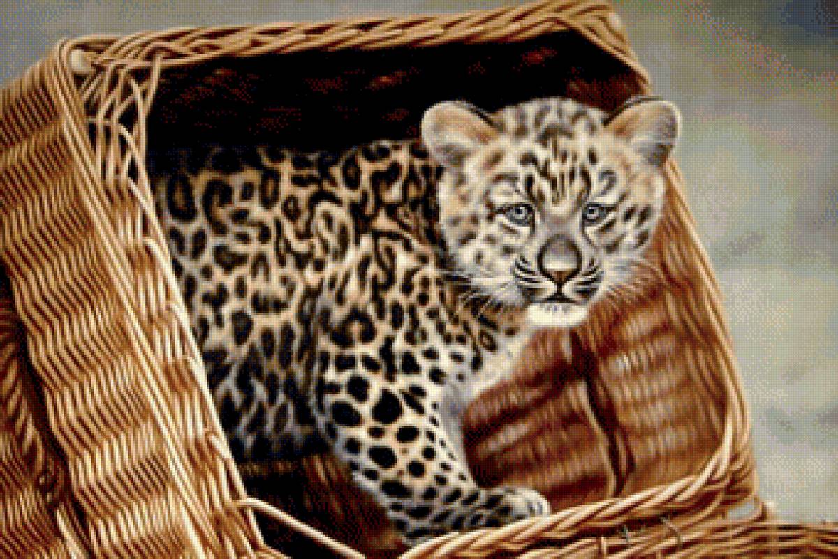 Первая встреча - кошка, хищник - предпросмотр