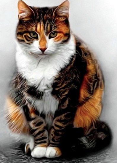 Важный кот - кошки, животные - оригинал