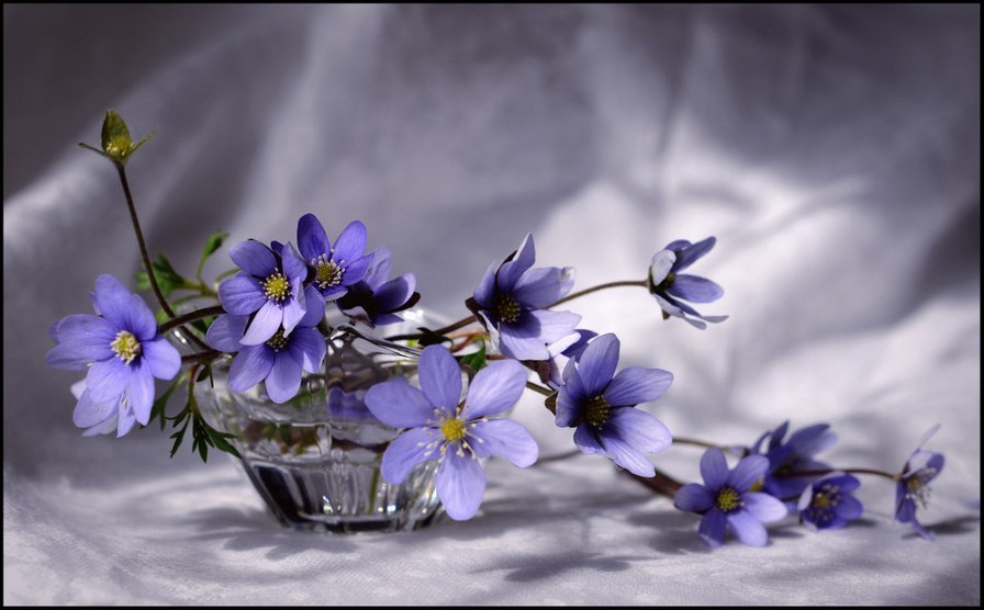 Весной запахло - подснежники, цветы - оригинал