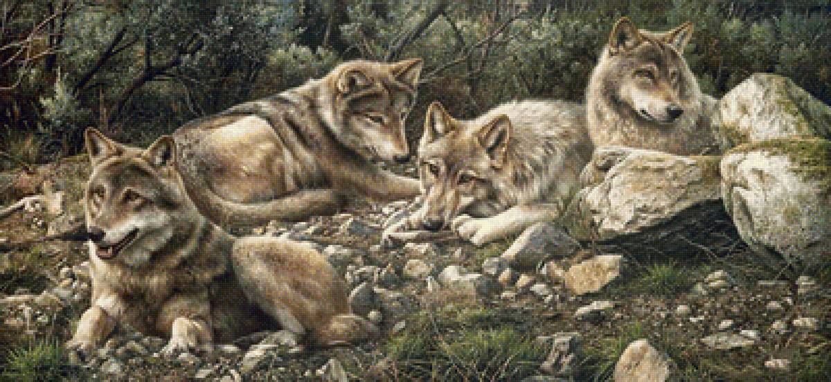 №2032569 - хищники, волки, животные - предпросмотр