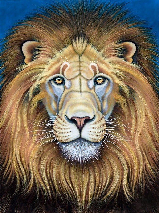 №2032574 - львы, хищники, животные - оригинал
