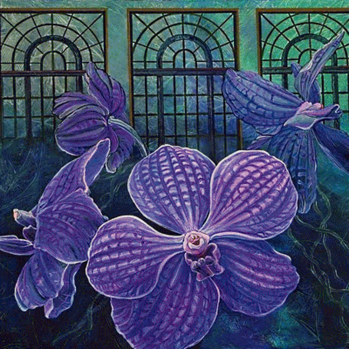 лиловые цветы - орхидеи, лиловые цветы, ванда, цветы, орхидея - предпросмотр