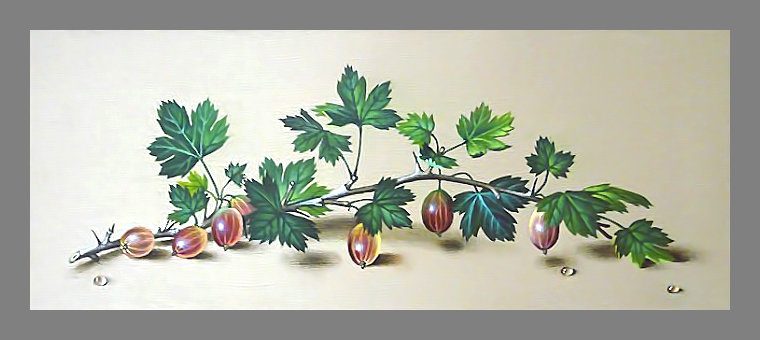 Серия "Фруктово-ягодная". Крыжовник - ягоды, фрукты, крыжовник - оригинал