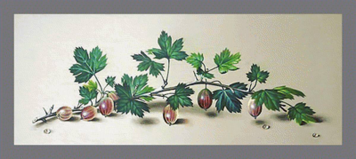 Серия "Фруктово-ягодная". Крыжовник - крыжовник, ягоды, фрукты - предпросмотр