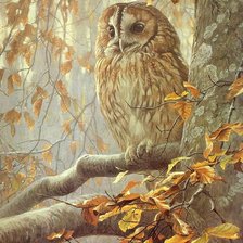 Схема вышивки «№2033007»