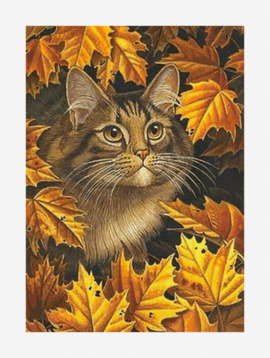 Осенний котик. - животные, кот, осень, кошка, листва - предпросмотр